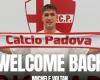 Padua, die Rückkehr von Michele Voltan ist offiziell: die Mitteilung des Vereins