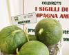 Coldiretti Puglia: „Immer mehr Italiener verlangen nach Menüs mit biologischer Vielfalt“