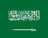 Saudi-Arabien: 7 Öl- und Gasfelder entdeckt