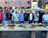 Volleyball Cesena über 56. Erfolg zum Feiern